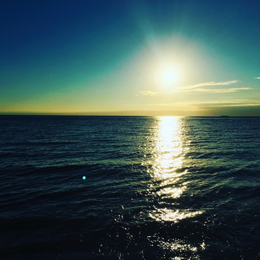Consign Cape Cod